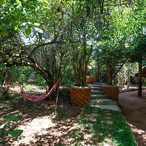 The Thick Forest , Сигирия Шри-Ланка